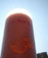 Roher veganer Morgen-Power-Drink