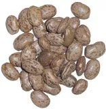 Bohnen, Bohnen, wunderbare Bohnen!