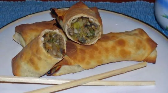 Gebratene Frühlingsrollen