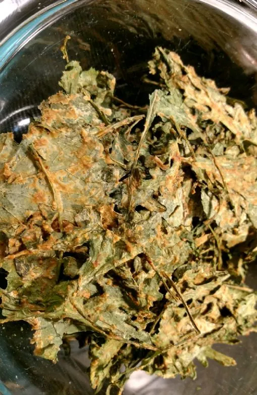 Nacho-Käse-Grünkohl-Chips