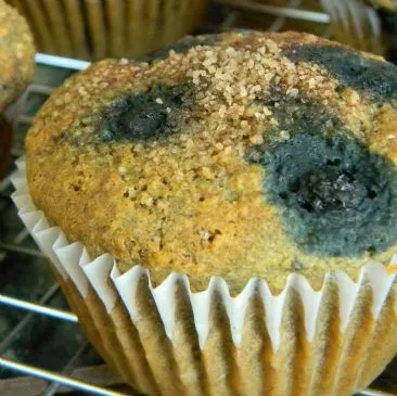 Glutenfreie, Sojafreie, Vegane Blaubeer-Maismehl-Muffins