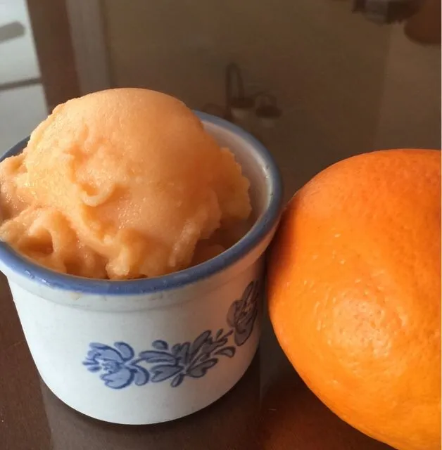 Orangen-Sorbet von Vicki