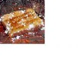 Französischer Toast Leicht