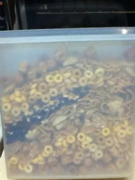 Donnas verrückte Misch-Cerealien (08/09)