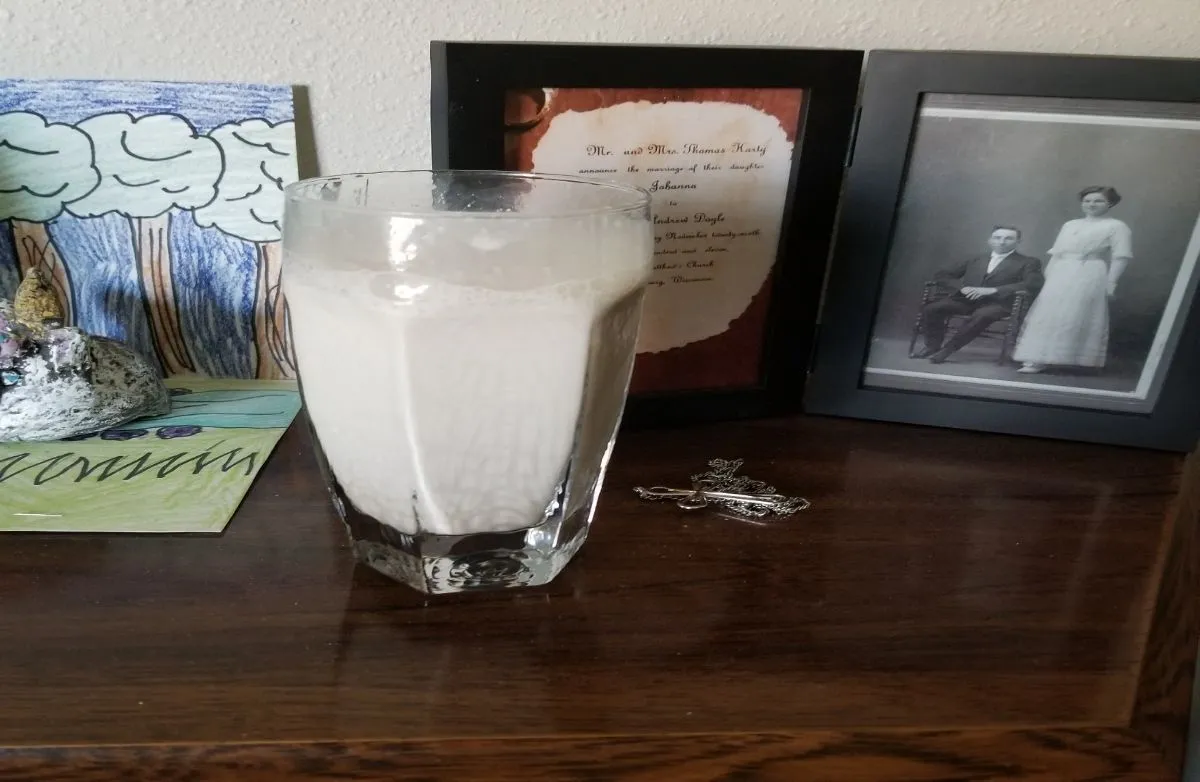 Avena (Haferflocken-Smoothie)