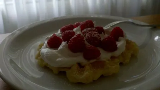 Leichte und knusprige Waffeln - Glutenfrei
