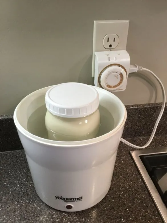 Joghurt, Sojamilch | pflanzenbasiert