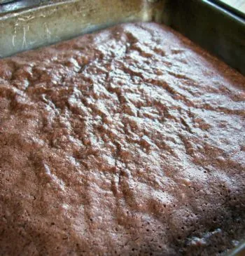 Sauerteig-Brownies