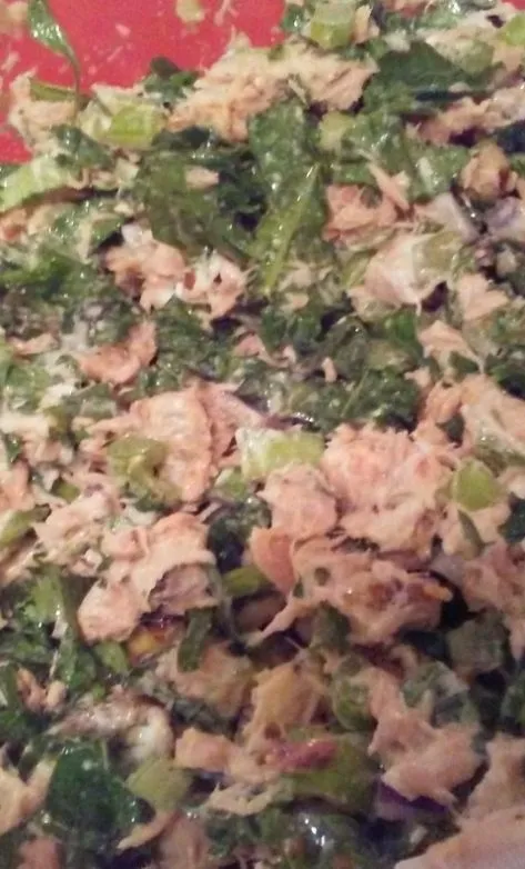 Grünkohl-Thunfisch-Salat