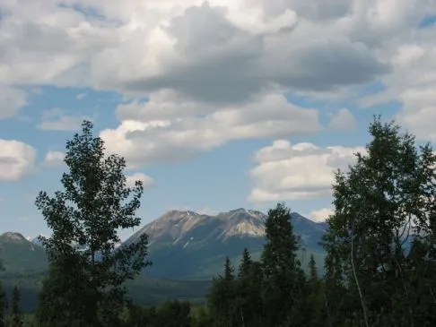 Gegrillter Schwertfisch