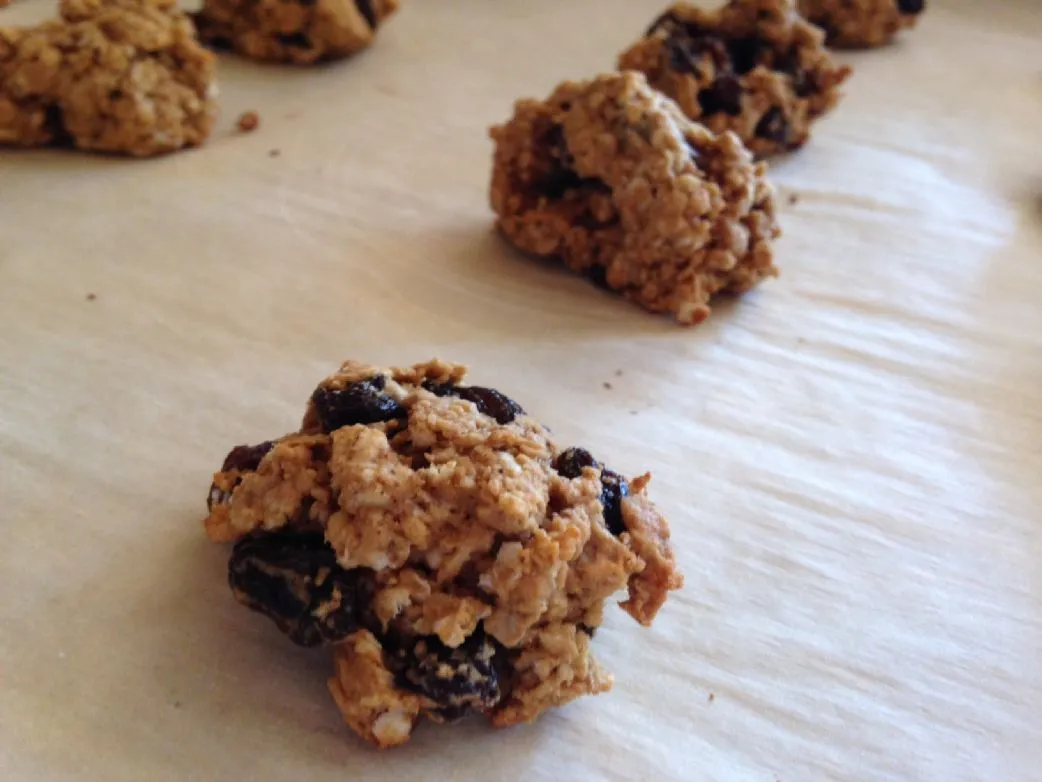 Haferflocken-Rosinen-Kekse