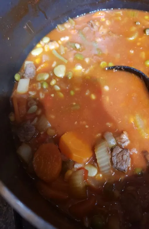 Gemüse-Rindfleischsuppe