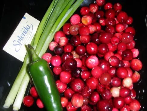 Zuckerfreie Cranberry-Salsa