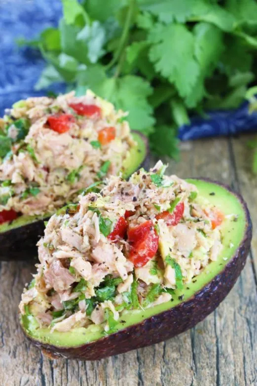 Mit Thunfisch gefüllte Avocado