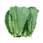 Saft - Zeit zu gehen