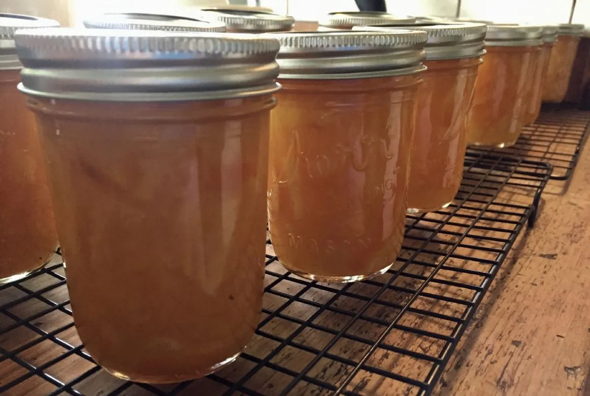 Kardamom-Orange-Marmelade