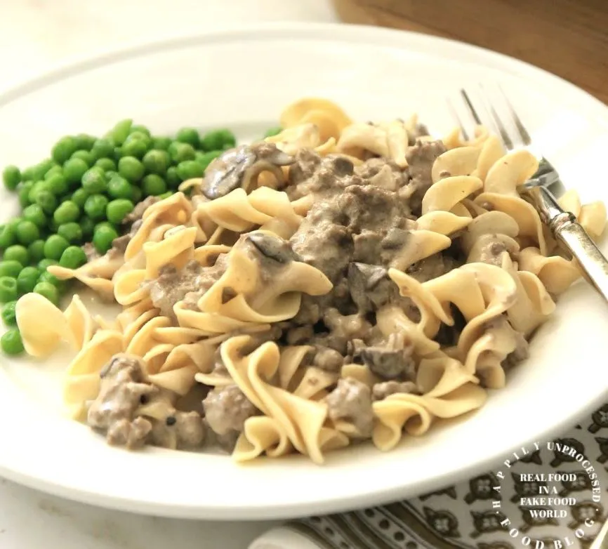 Rinderhack Stroganoff mit Eiernudeln