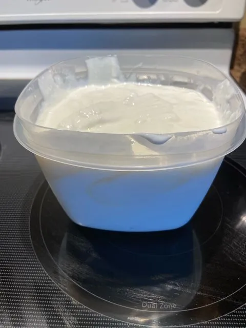 Fettfreier Joghurt aus dem Instant Pot