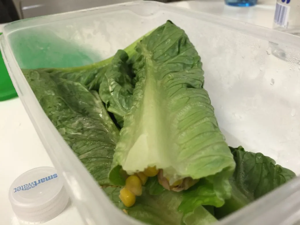 Chipotle-Thunfisch- und Mais-Lettuce-Wraps