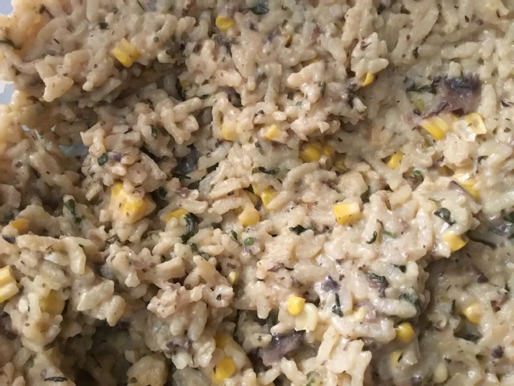 Evas Instant Pot Pilzrisotto