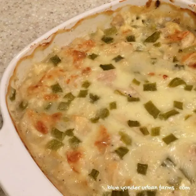 Sissys super einfache Enchilada-Auflauf