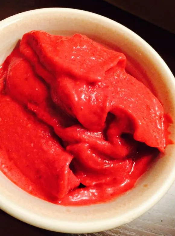 Circle of Surrender Himbeer-Mandel-Kefir-Sorbet