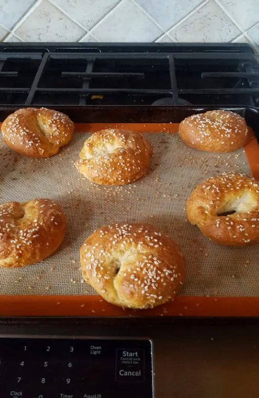 Hausgemachte Bagels