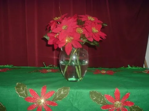 Weihnachtsnacht-Fruchtkuchen