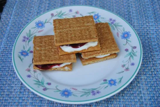 Gefrorene George Washington Sandwiches