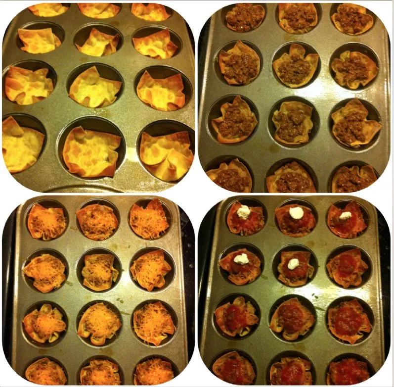 Leichte Won Ton Tacos