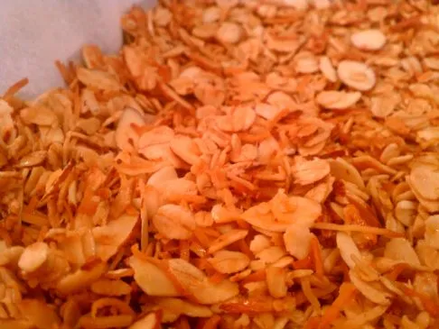 Geröstete Mandel-Kokos-Granola