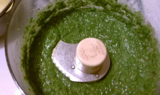 Veganes Sauerampfer-Pesto