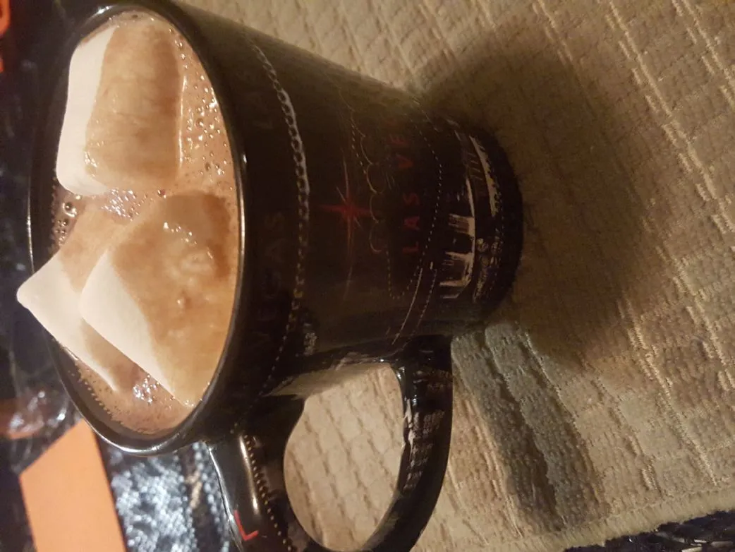 Low Carb Zuckerfreier Kakao