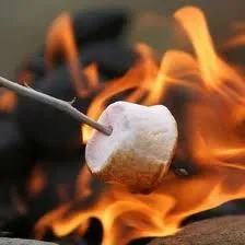 S'mores