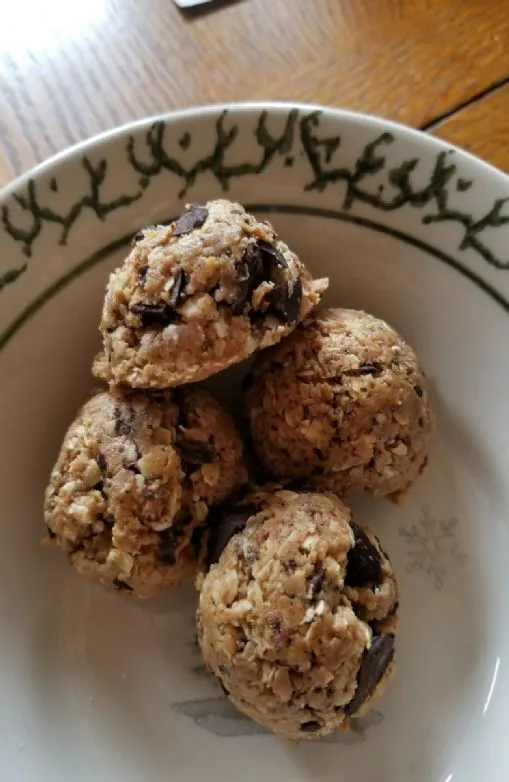 Proteinballs