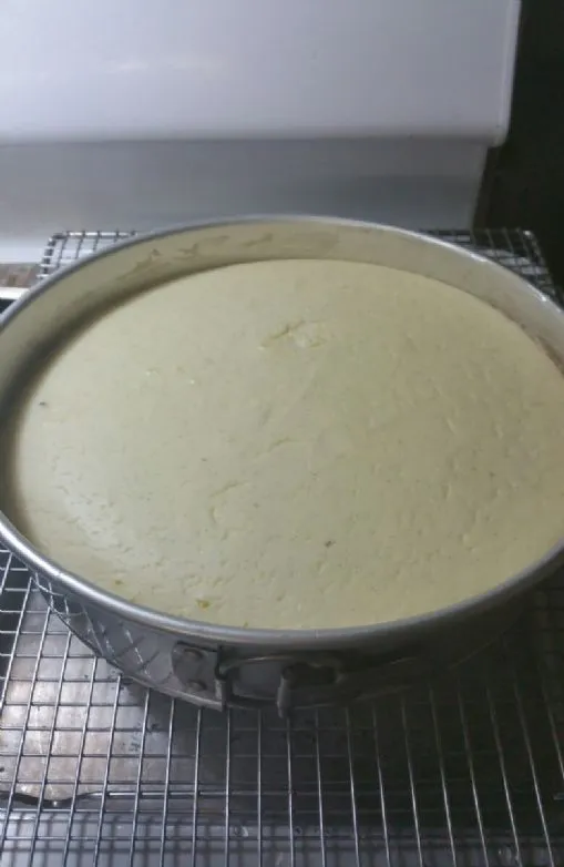 Keto Vanille-Bohnen-Cheesecake