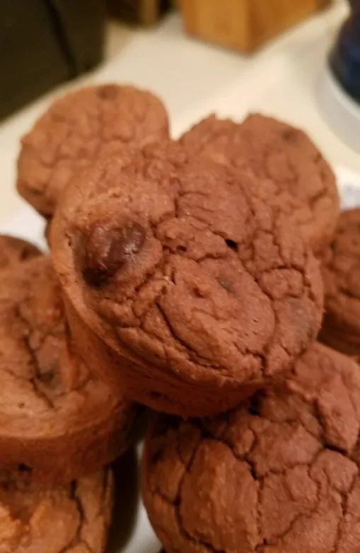 Schokoladen-Protein-Muffins