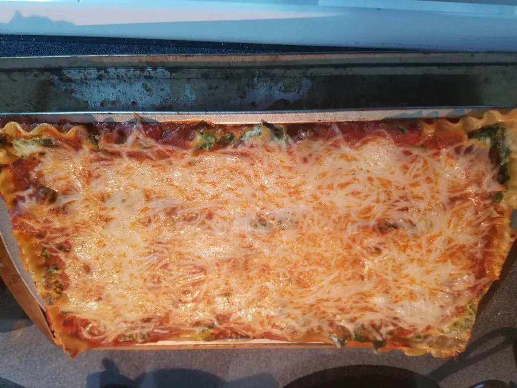 Vegetarische Lasagne