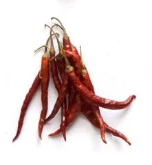 Gegrillte Rote Salsa