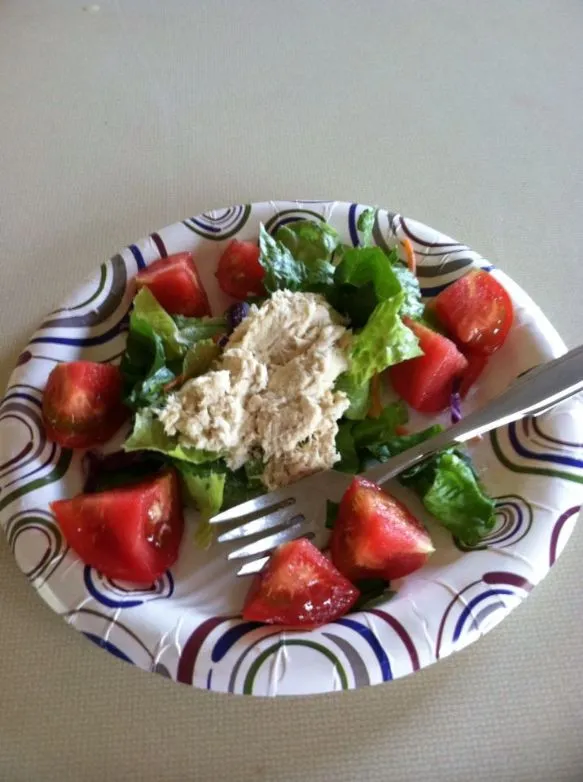 Abacore Weißer Thunfisch mit Salat und Tomaten