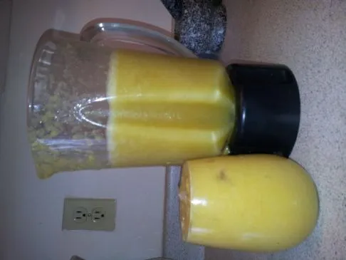 Tropisches Fruchtpüree