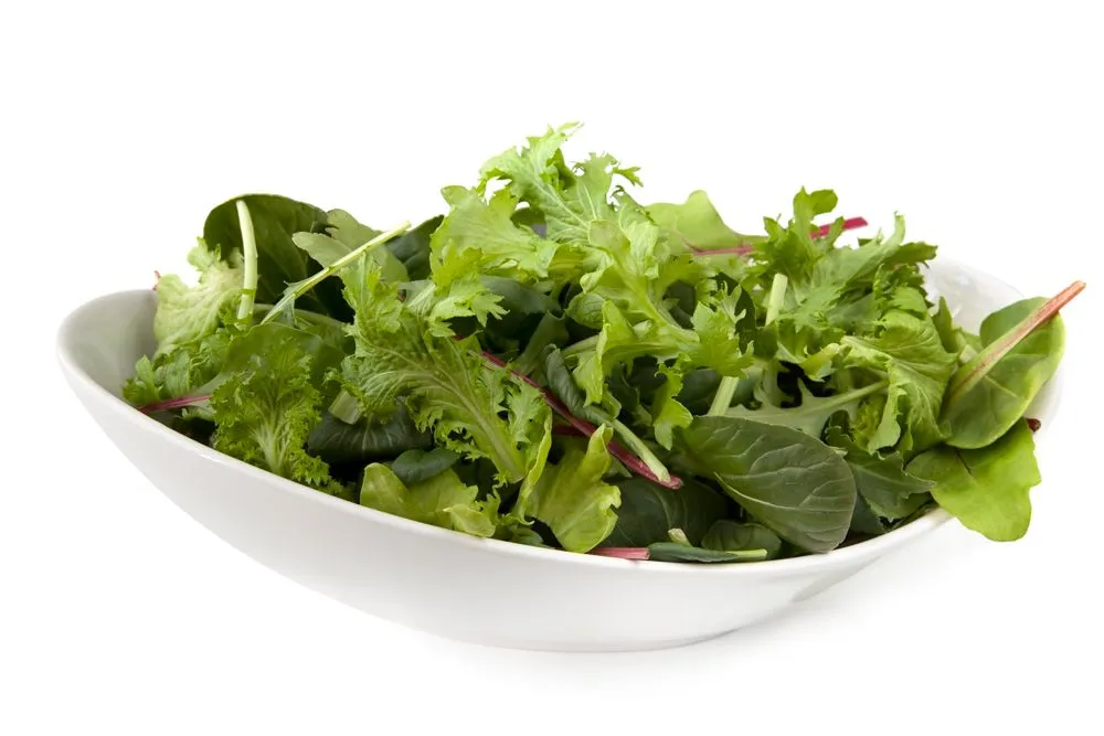 Grüner Salat mit Dressing