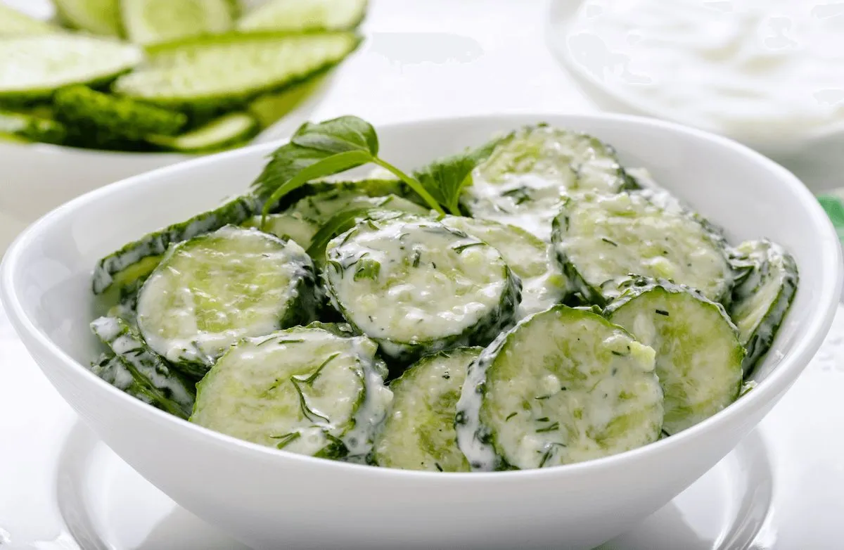 Frische Tzatziki-Gurken-Dill-Sauce/Salat