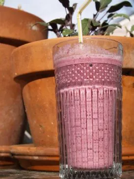 Blaubeer-Cranberry-Smoothie