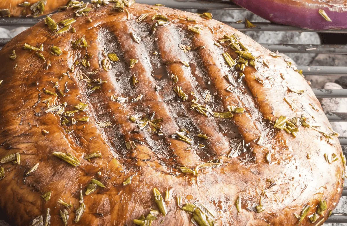 Gegrillte und marinierte Portobello-Kappen