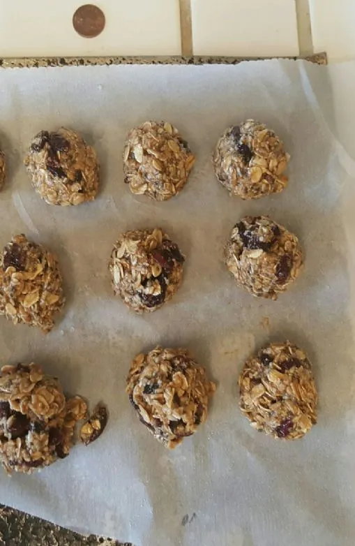 Energie-Bällchen mit Craisins und Protein