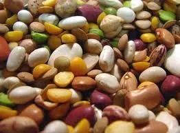 Vegane Crockpot Feiertags-Bohnensuppe