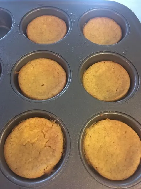 Keto Kürbiskuchen Cheesecake-Mini 1/3 Rezept Füllung Muffins