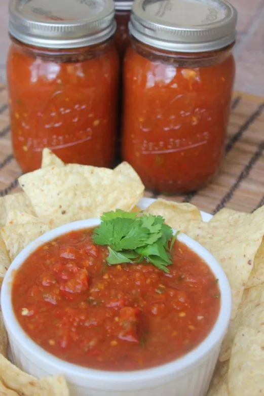 Bkwerm's hausgemachte milde Salsa mit wenig Natrium