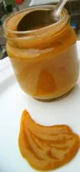 Mango Ketchup